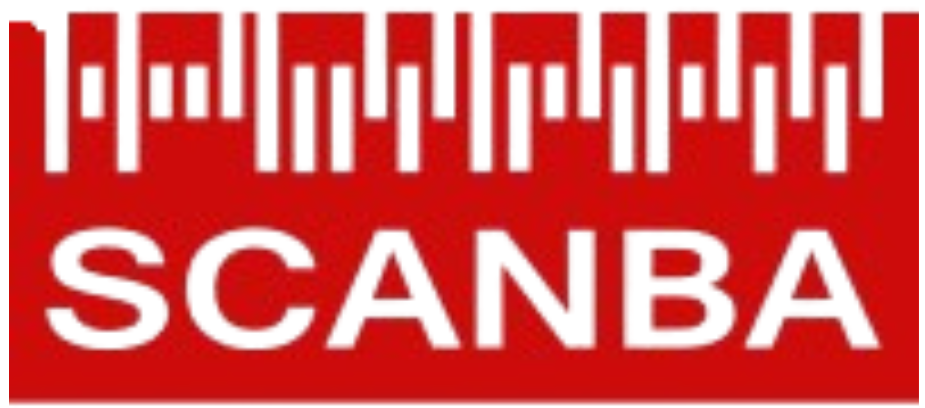 Scandinavian Institute of Business Analytics